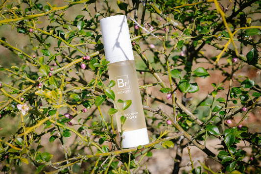 Plant Extract Spotlight: Finger Lime