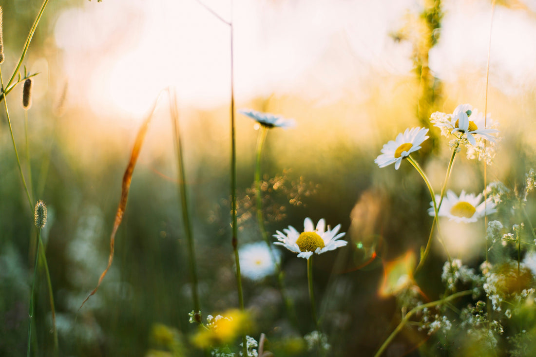 Put a Spring In Your Step