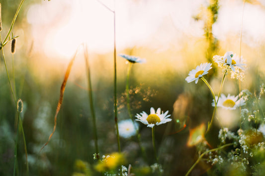Put a Spring In Your Step