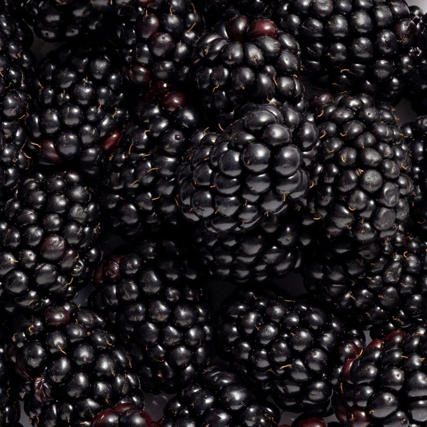 Blackberry Seed Oil