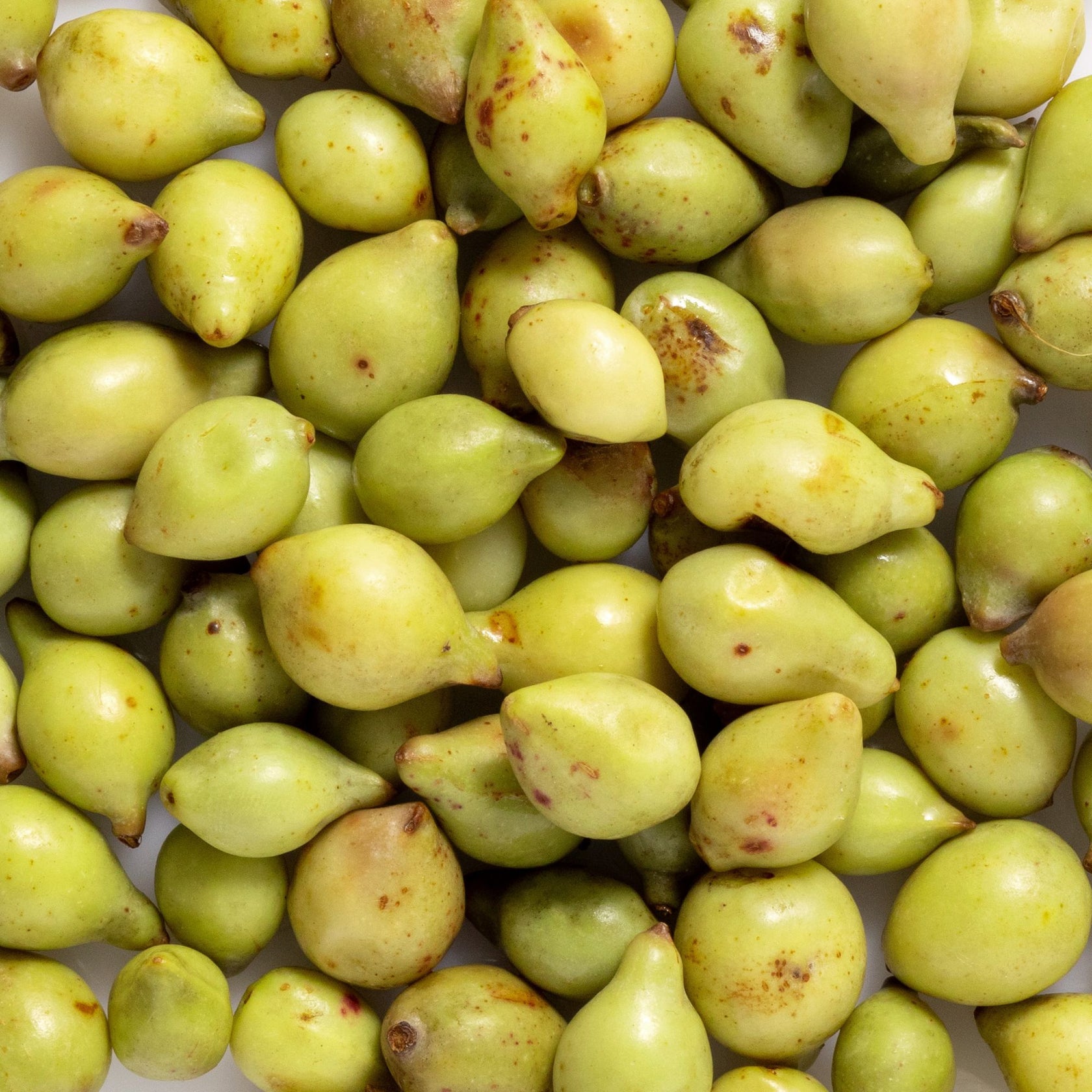 Bk Vitamin C Face & Eye Serum Biologi